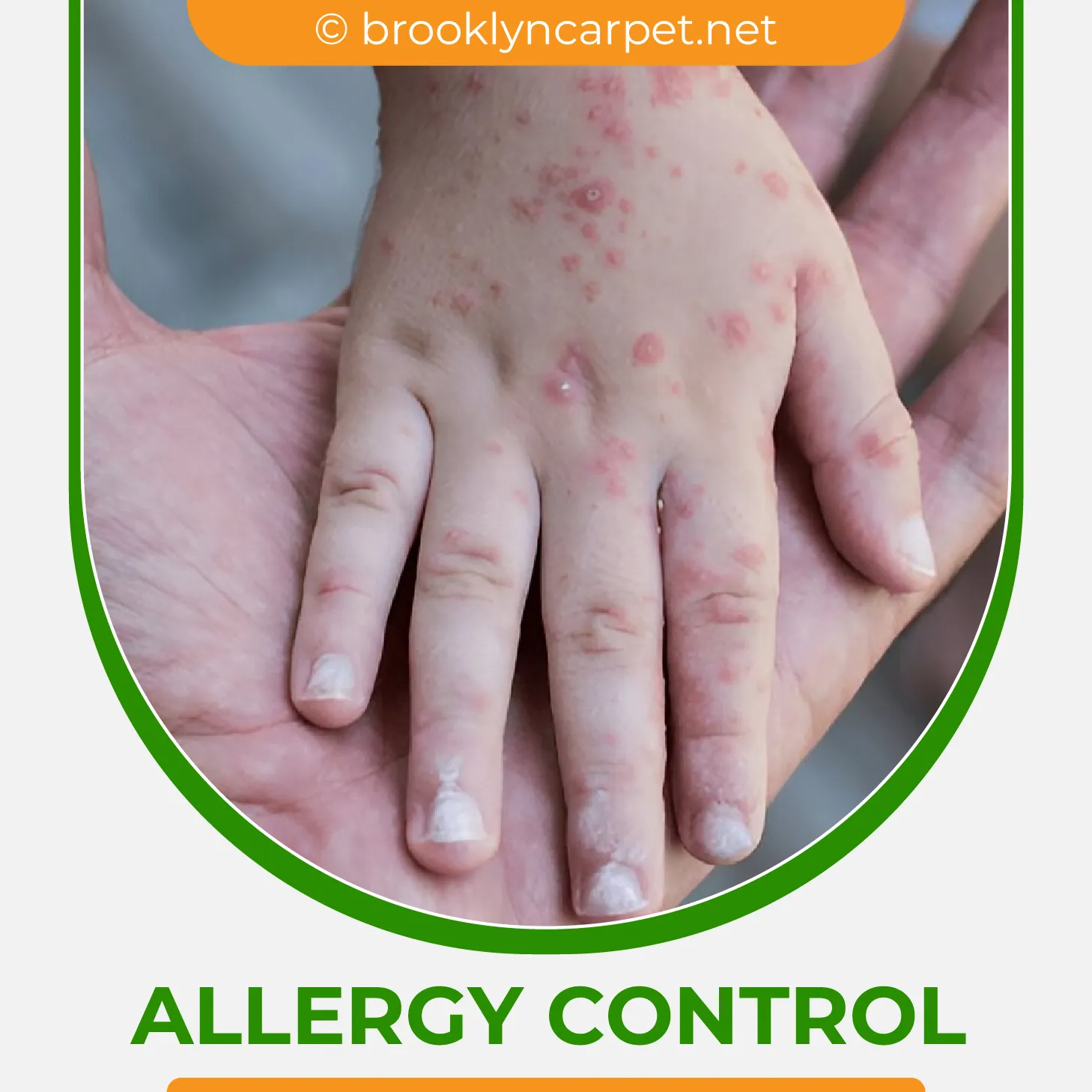 carpet cleaning in brooklyn, carpet cleaning in new york, carpet cleaning brooklyn, carpet cleaners in brooklyn, carpet cleaners in new york, commercial carpet cleaning, commercial carpet cleaning in brooklyn, brooklyn rug cleaners, rug cleaning services in brooklyn, same day carpet cleaning, same day rug cleaning